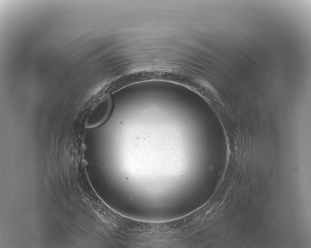 X0000054391064200508051641