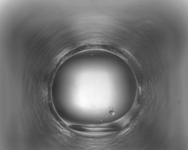 X0000054391065200508051641