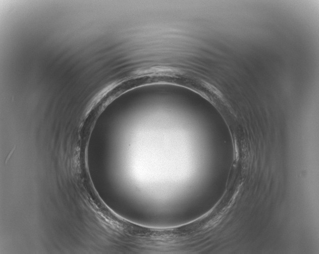 X0000054391066200508051641