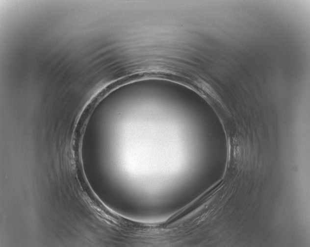 X0000054391068200508051641