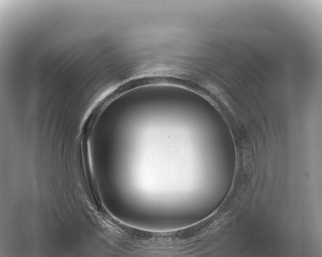 X0000054391069200508051641