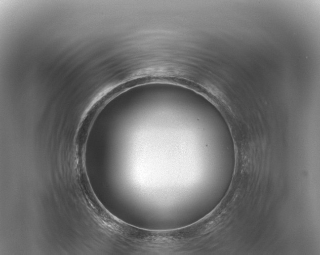 X0000054391070200508051641