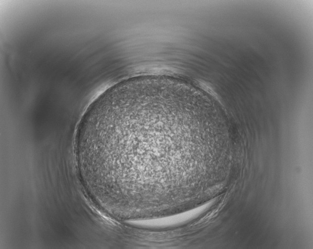 X0000054391071200508051641