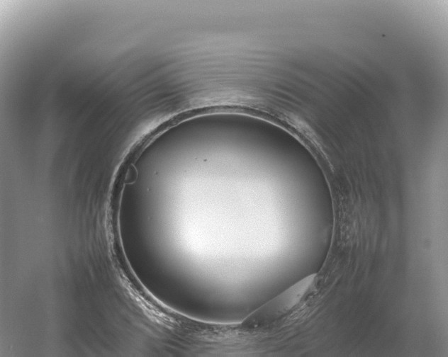 X0000054391072200508051641