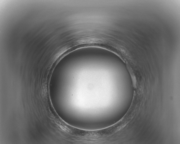 X0000054391073200508051641