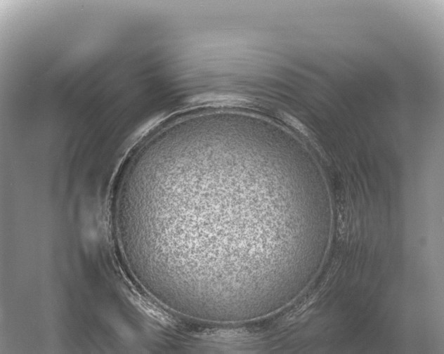 X0000054391074200508051641