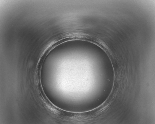 X0000054391075200508051641