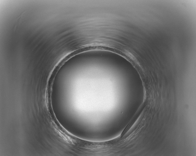 X0000054391076200508051641