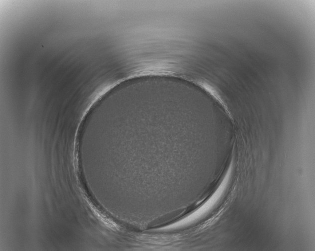 X0000054391077200508051641