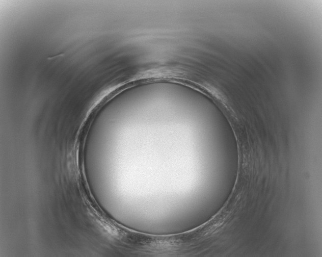 X0000054391078200508051641