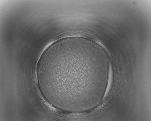 X0000054391079200508051641