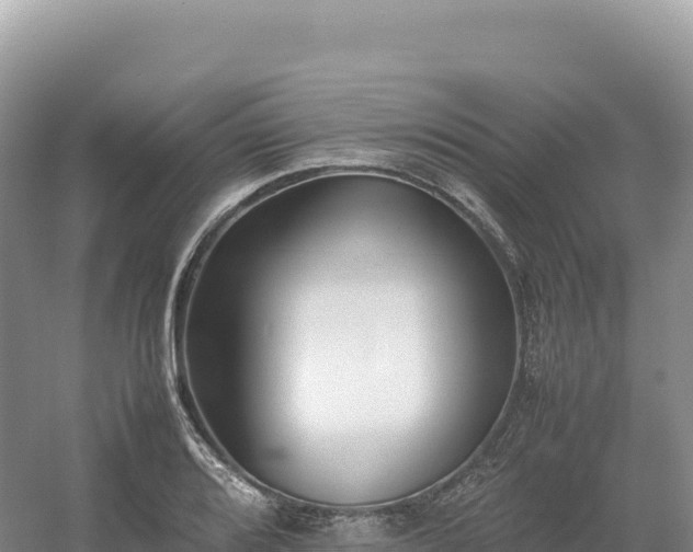 X0000054391080200508051641