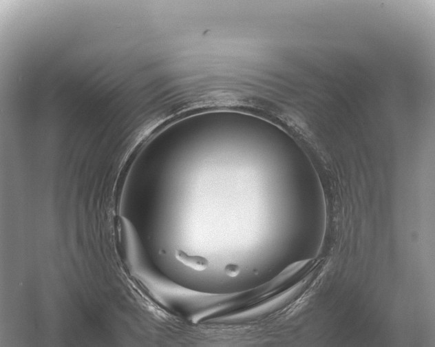 X0000054391081200508051641