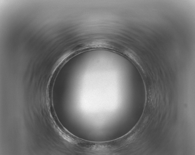 X0000054391082200508051641