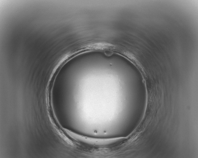 X0000054391083200508051641