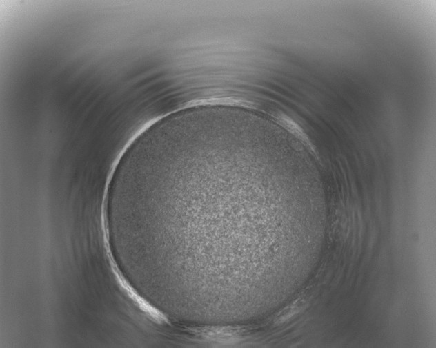 X0000054391084200508051641