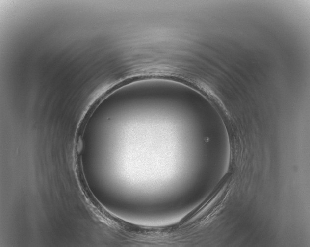 X0000054391085200508051641