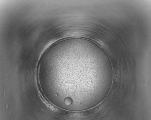 X0000054391086200508051641