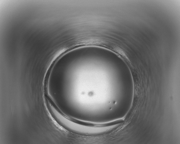 X0000054391087200508051641