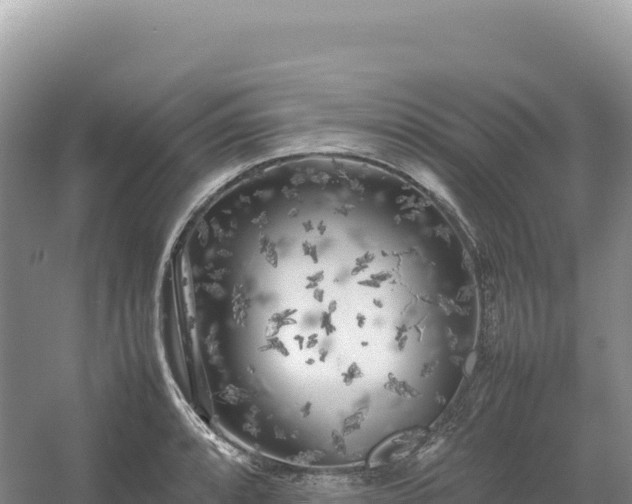 X0000054391088200508051641