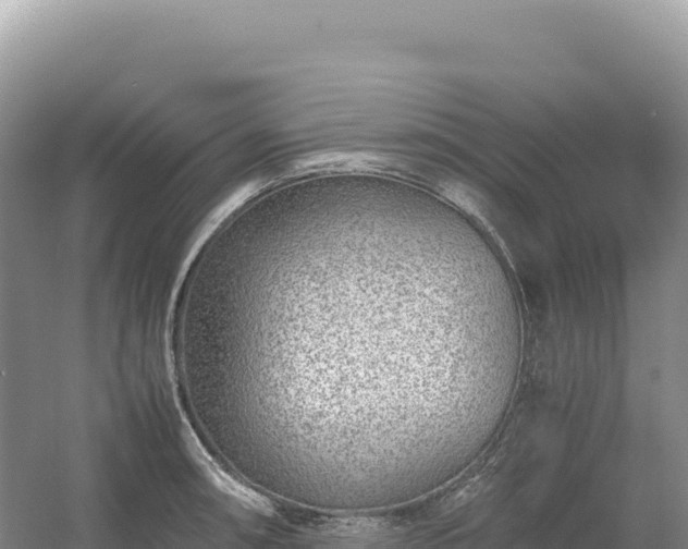 X0000054391090200508051641