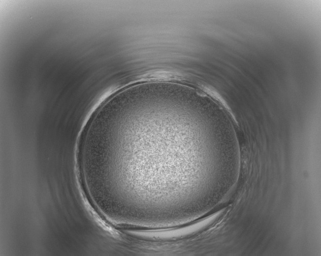 X0000054391091200508051641