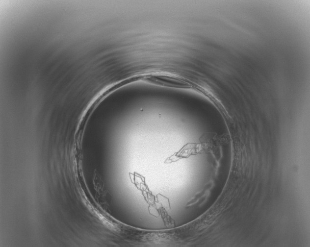 X0000054391092200508051641