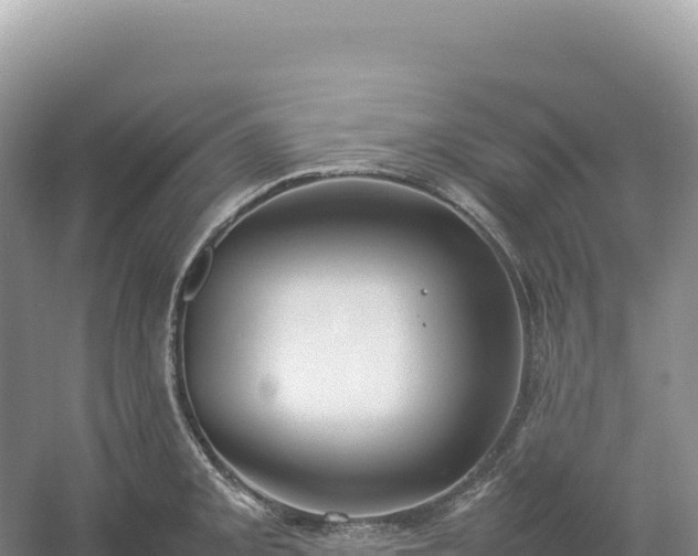 X0000054391093200508051641