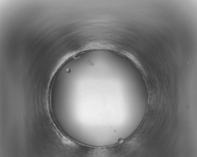 X0000054391094200508051641