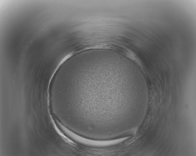 X0000054391095200508051641