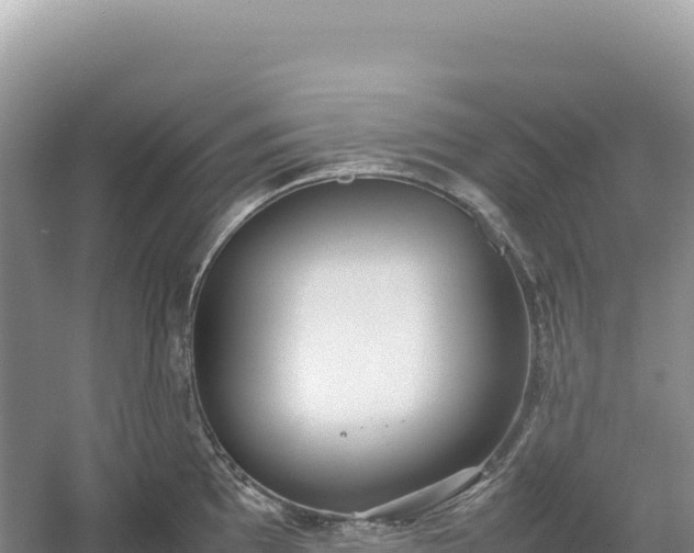 X0000054391097200508051641