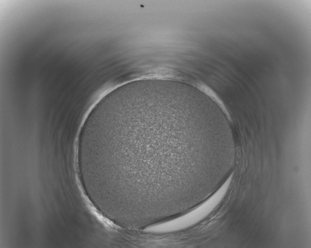 X0000054391099200508051641