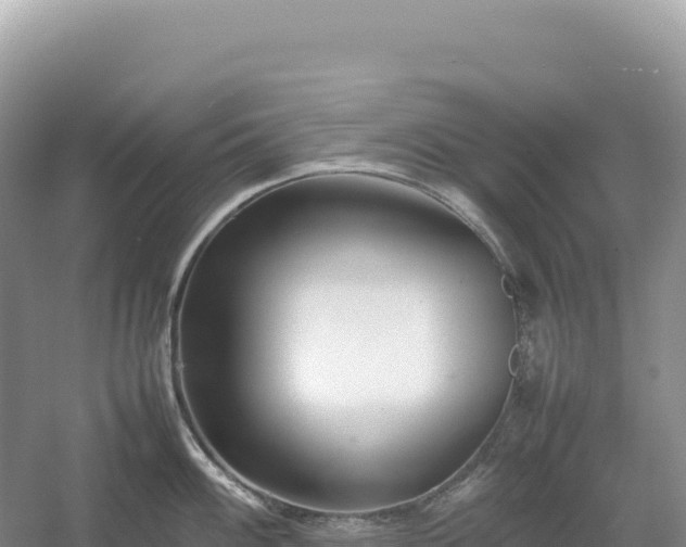 X0000054391100200508051641