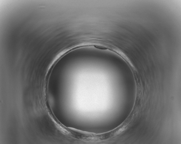 X0000054391101200508051641