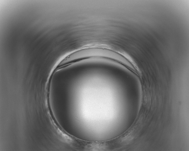 X0000054391102200508051641