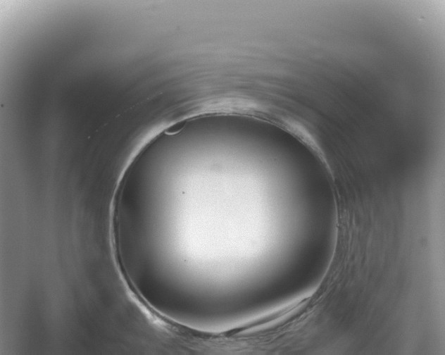 X0000054391103200508051641