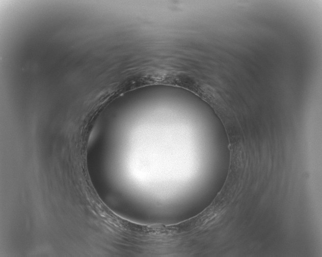 X0000054391105200508051640