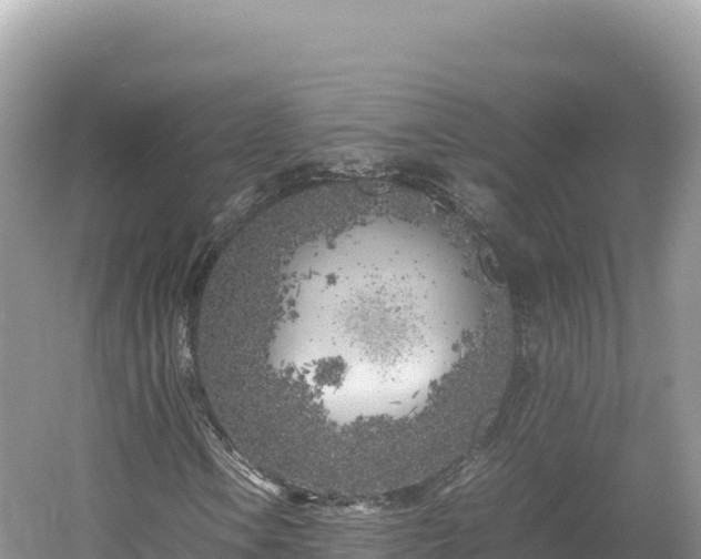 X0000054391106200508051640