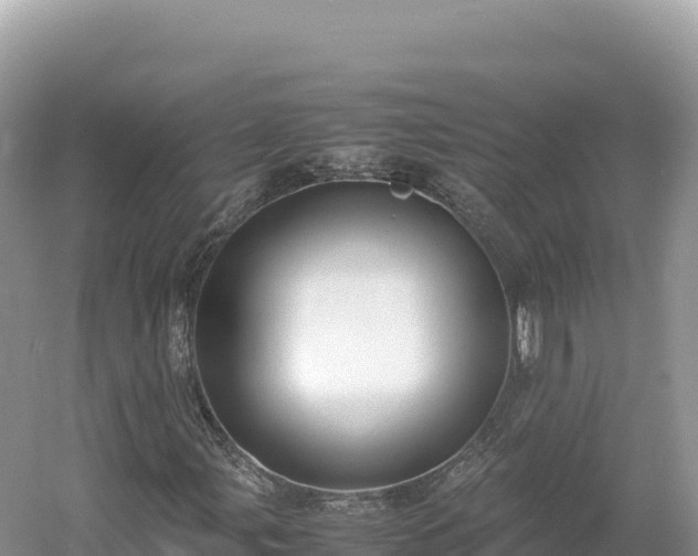 X0000054391107200508051640