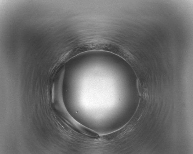 X0000054391108200508051640