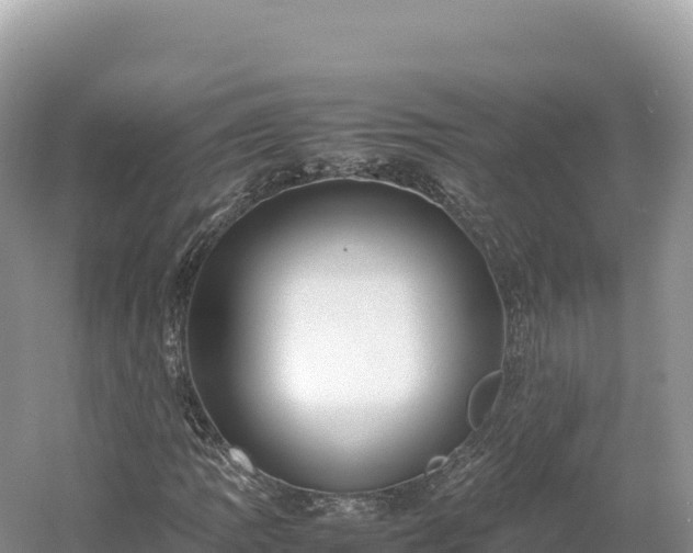 X0000054391109200508051640