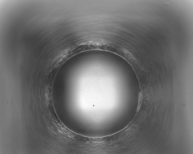 X0000054391110200508051640