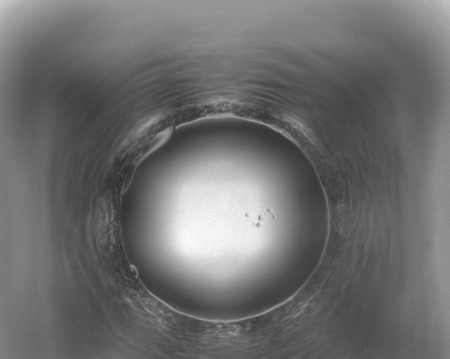 X0000054391111200508051640