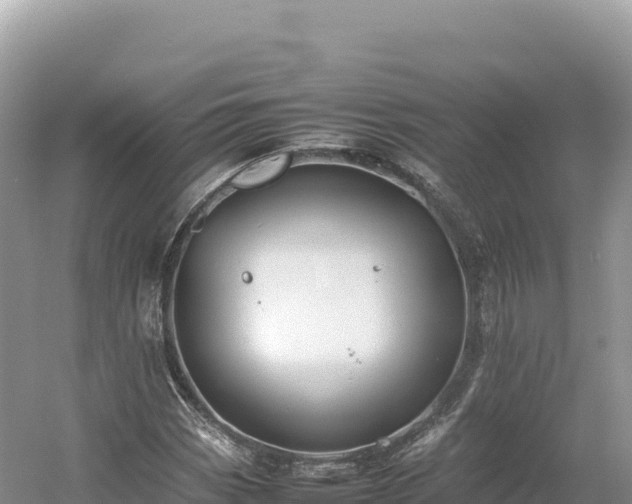 X0000054391113200508051640