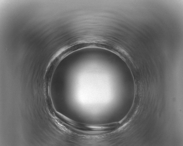 X0000054391114200508051640