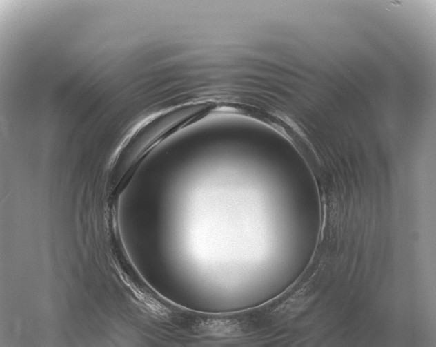 X0000054391115200508051640