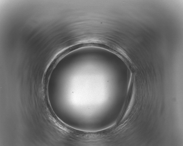 X0000054391116200508051640