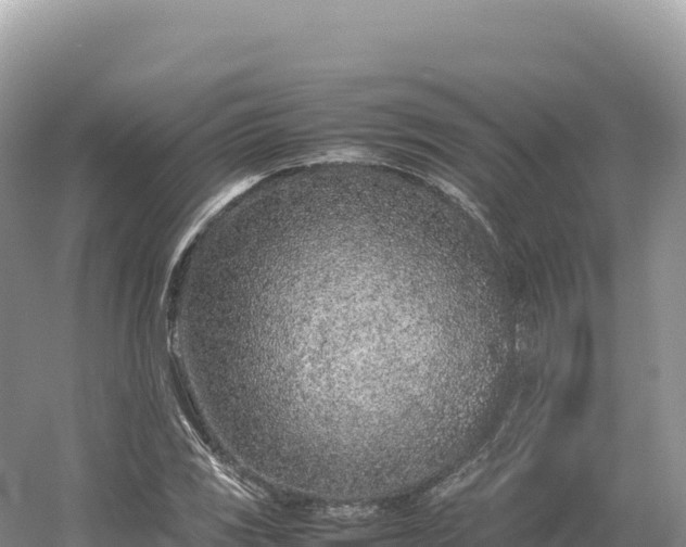 X0000054391117200508051640