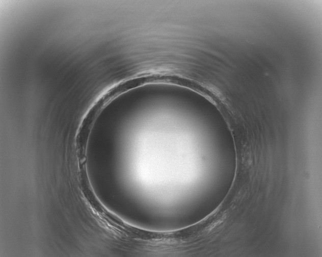 X0000054391118200508051640