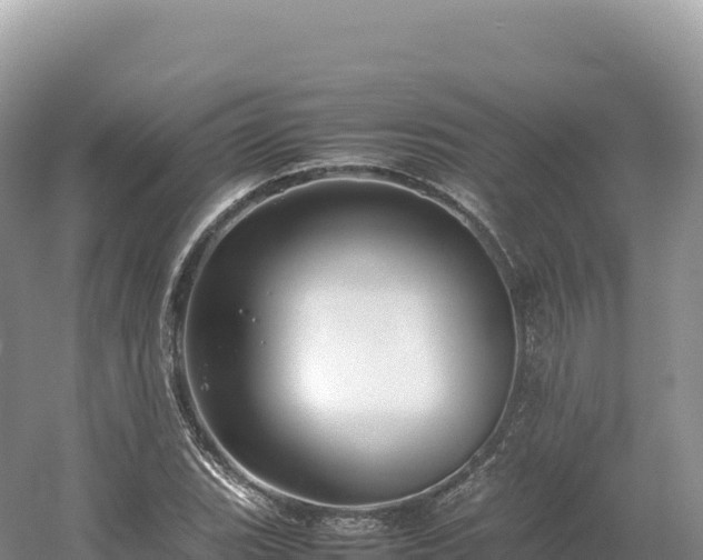 X0000054391119200508051640